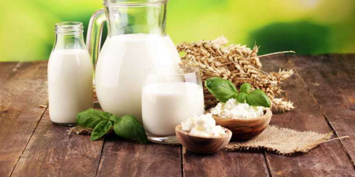 Organic Dairy Products Market  Manufacturers, Regions, Types and Applications 2028