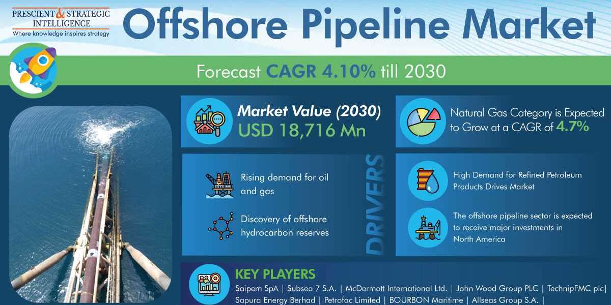 Offshore Pipeline Market Growth, Development and Demand Forecast Report 2030