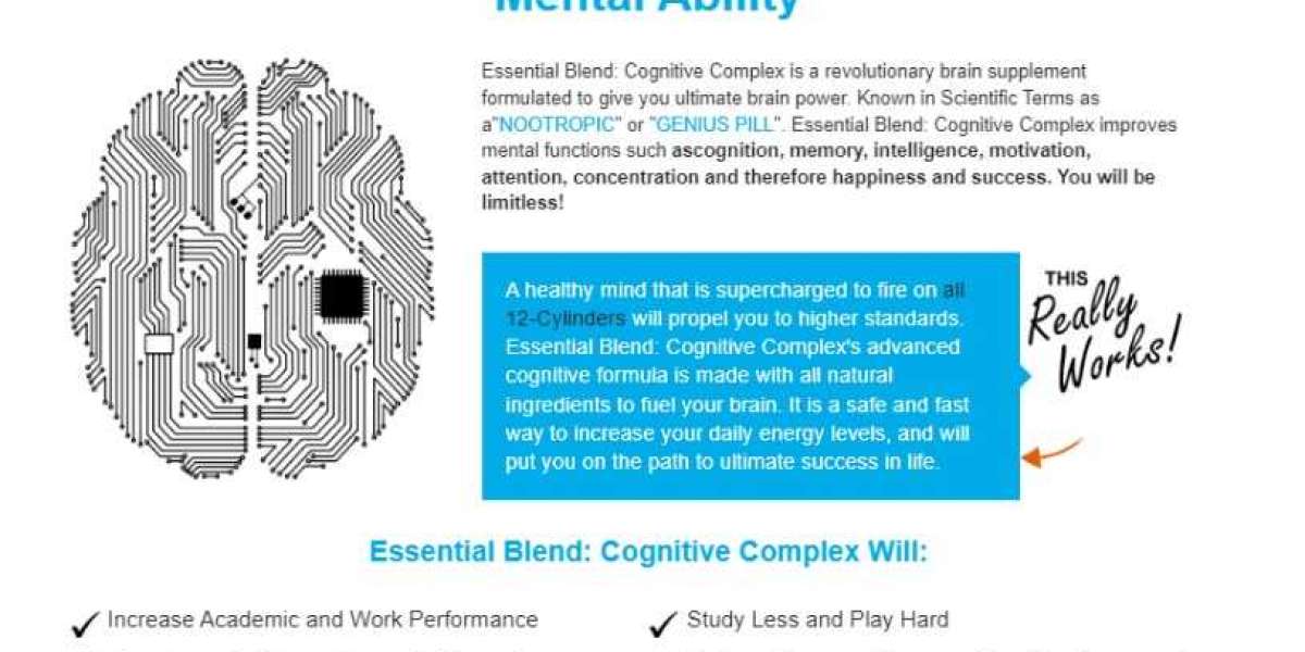 Best Supplement For Brain Health 2023
