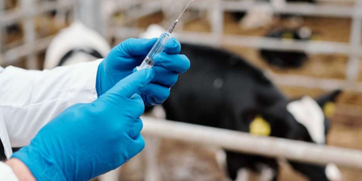 Veterinary Antibiotics Market is expected to reach US$ 20,277.5 million by 2032 | FMI