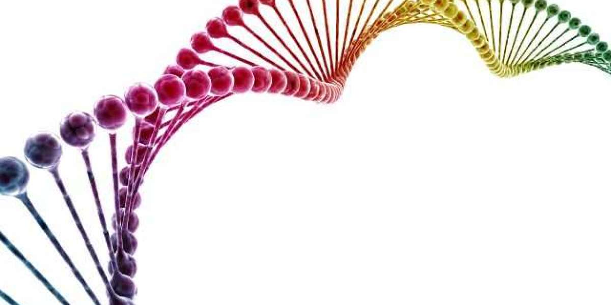 Gene Synthesis Market In-Depth Analysis, Growth Strategies and Comprehensive Forecast to 2033