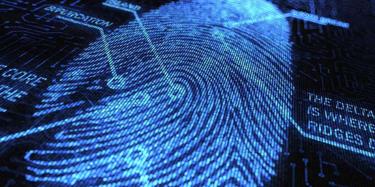 Advancements in Forensic Image Analysis: How Cognitech is Leading the Way