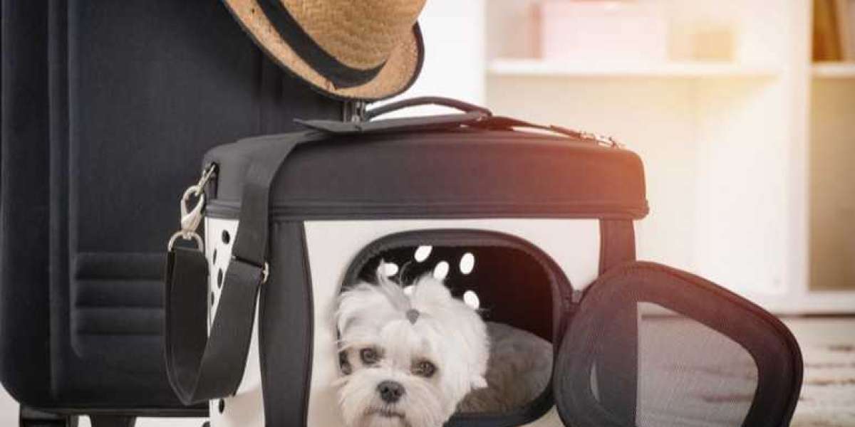 Etihad Pet Travel Cost