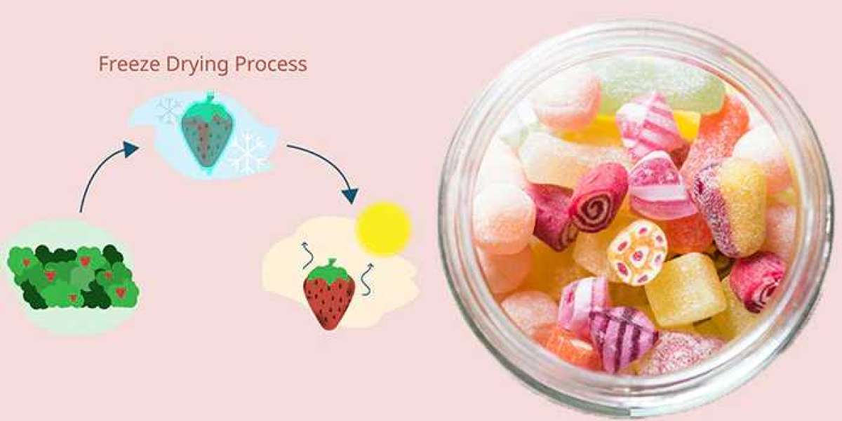 Freeze Drying Market is expected to reach US$ 2.5 Billion at a CAGR of 8.5% by 2032 | FMI