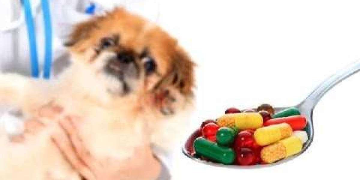 Over-The-Counter (OTC) Veterinary Drugs Market size is estimated to cross US$ 18.14 Billion by 2032 | FMI