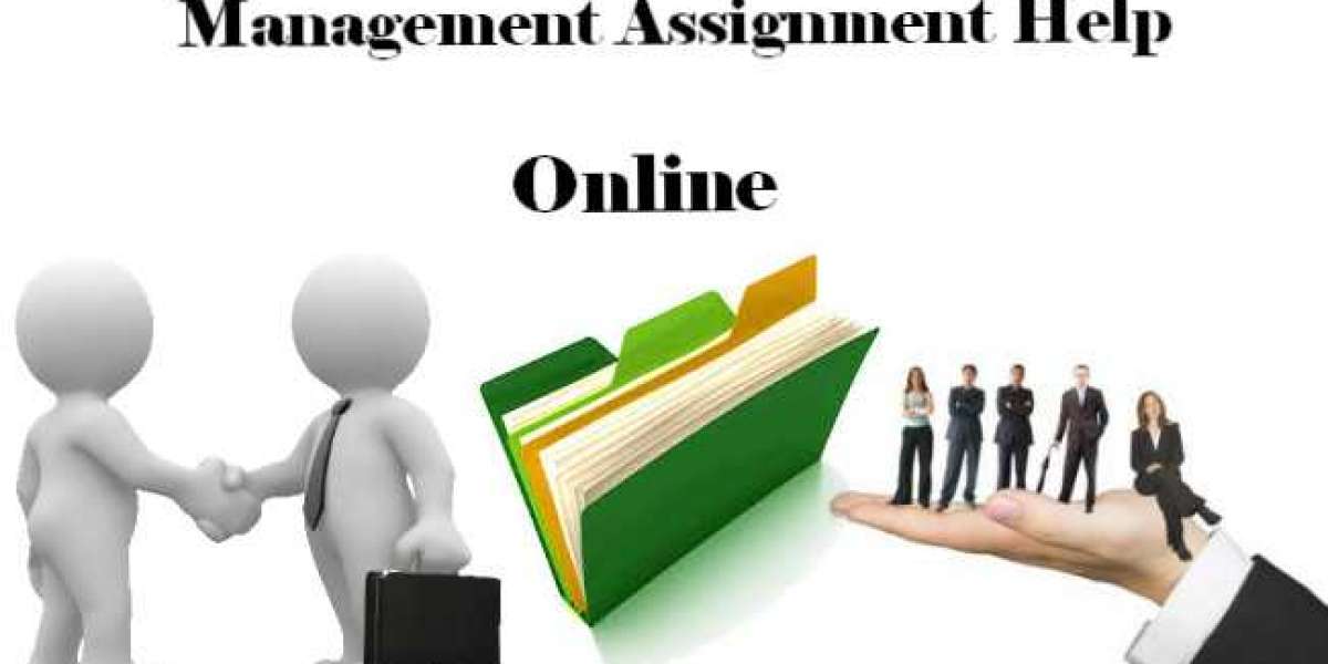 Get the best Management Assignment Help In USA