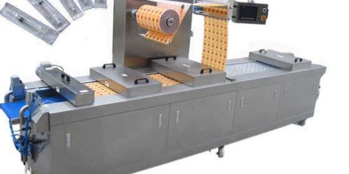 Automatic Thermoforming Vacuum Machine Industry Analysis, Future Growth, Segmentation, Competitive Landscape, Key Trends