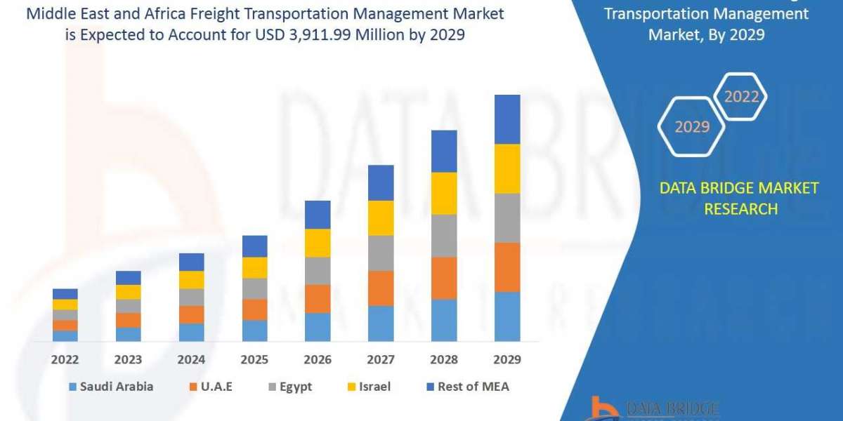 Middle East and Africa Freight Transportation Management   Market Overview, Growth Analysis, Share, Opportunities, Trend