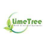 Lime Tree