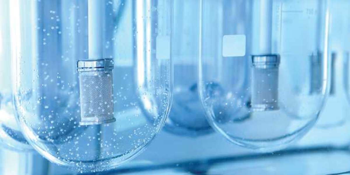 Pharmaceutical Dissolution Testing Services Market Growth Analysis By Technology, Applications, Regions, And Forecast To