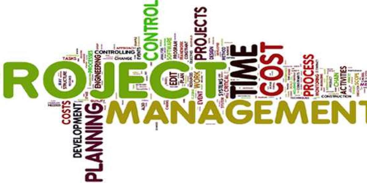 How Should You Write Your Project Management Assignment?