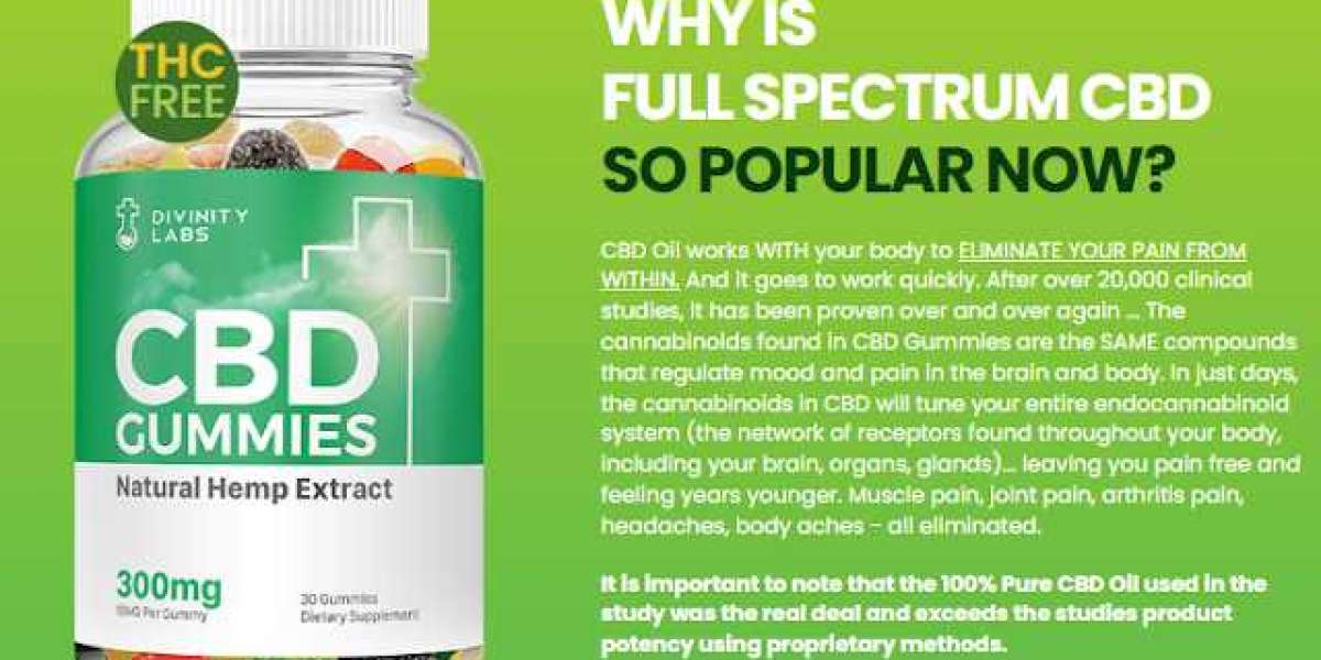 Enjoy the Benefits of CBD in a Delicious Gummy Form