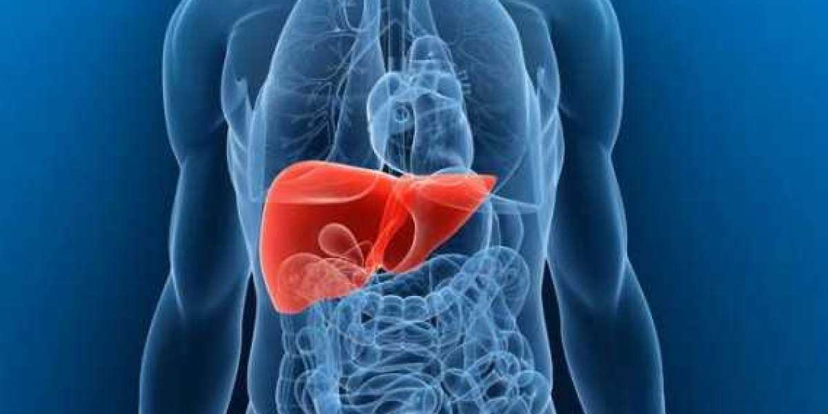 Liver Fibrosis Treatment Market Overview By New Technology, Demand And Scope 2023 to 2033