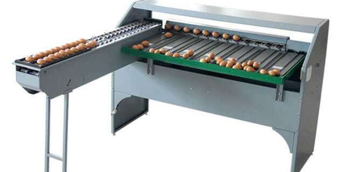 Egg Grading Machines Market Outlook, New Business Opportunity & Demand Analysis during Forecast 2023 to 2033