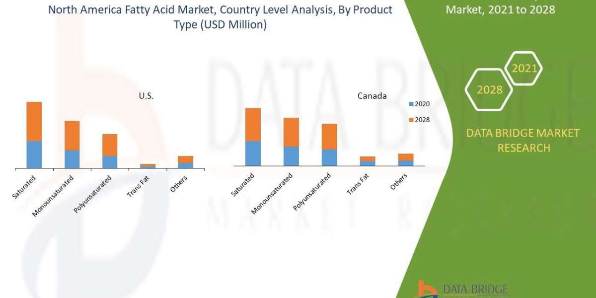 North America Fatty Acids Market to Register Highest CAGR Growth of 5.3% by 2029,Incredible Growth, Market Leader