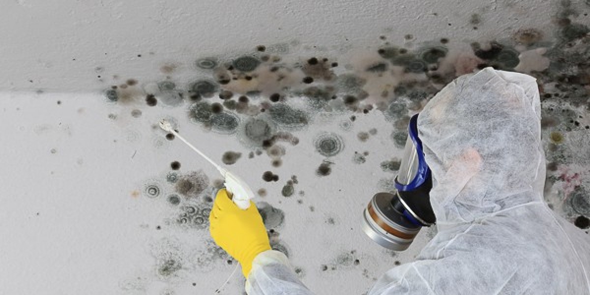Mold Prevention Services in Greenville: Protecting Your Property From Mold Growth