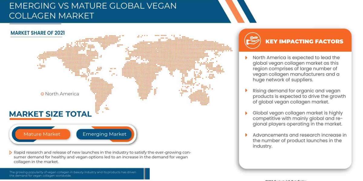 Market Analysis, Insight Recent innovation & upcoming trends Vegan Collagen Market