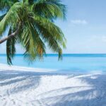 The Traveler Season: Your Passport to Seasonal Travel Destinations and Tips