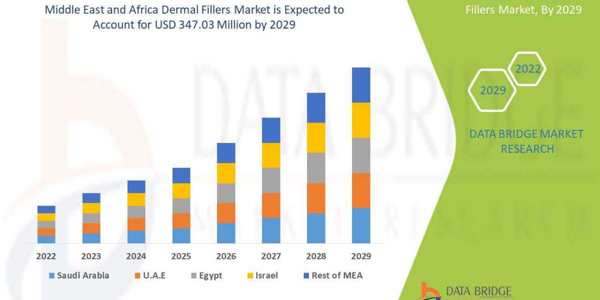 Middle East and Africa Dermal Fillers Market  Industry Analysis and Forecast 2029