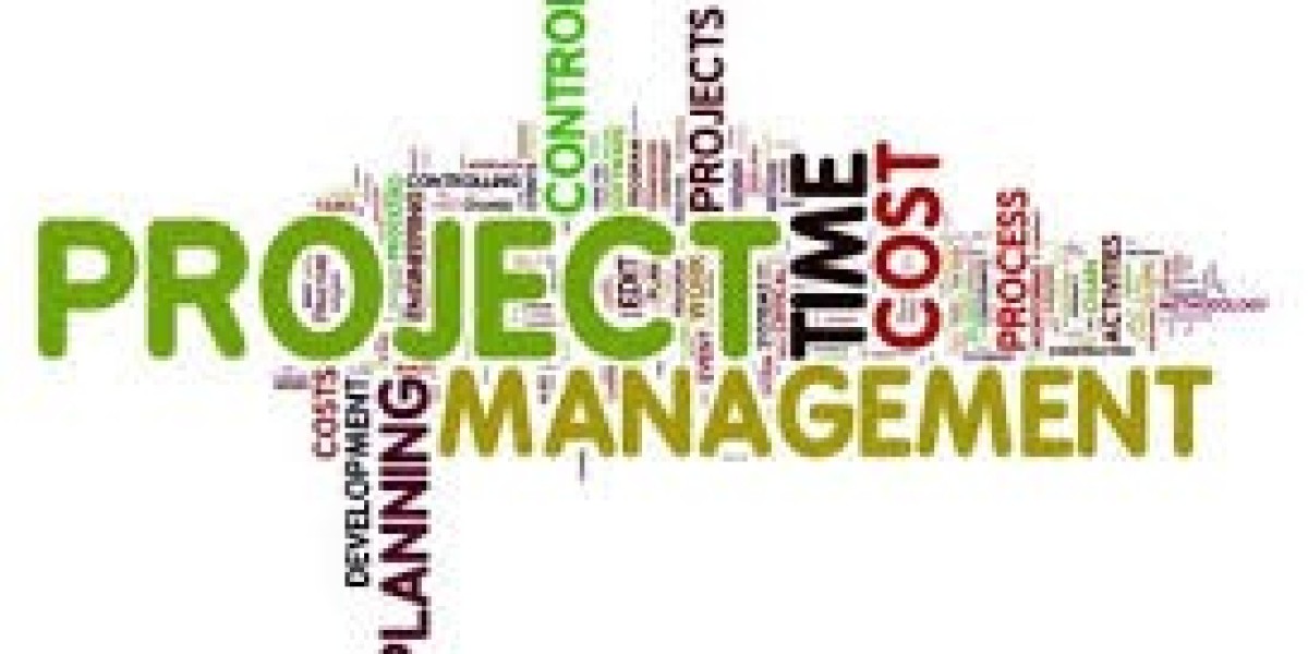 Project Management Assignment Help to Solve Complex Assignment Problems