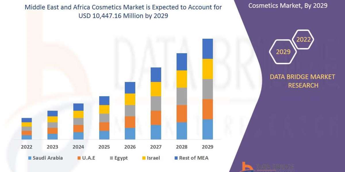 Personalization in the Middle East and Africa Cosmetics Industry: Opportunities and Challenges with CAGR 4.3%