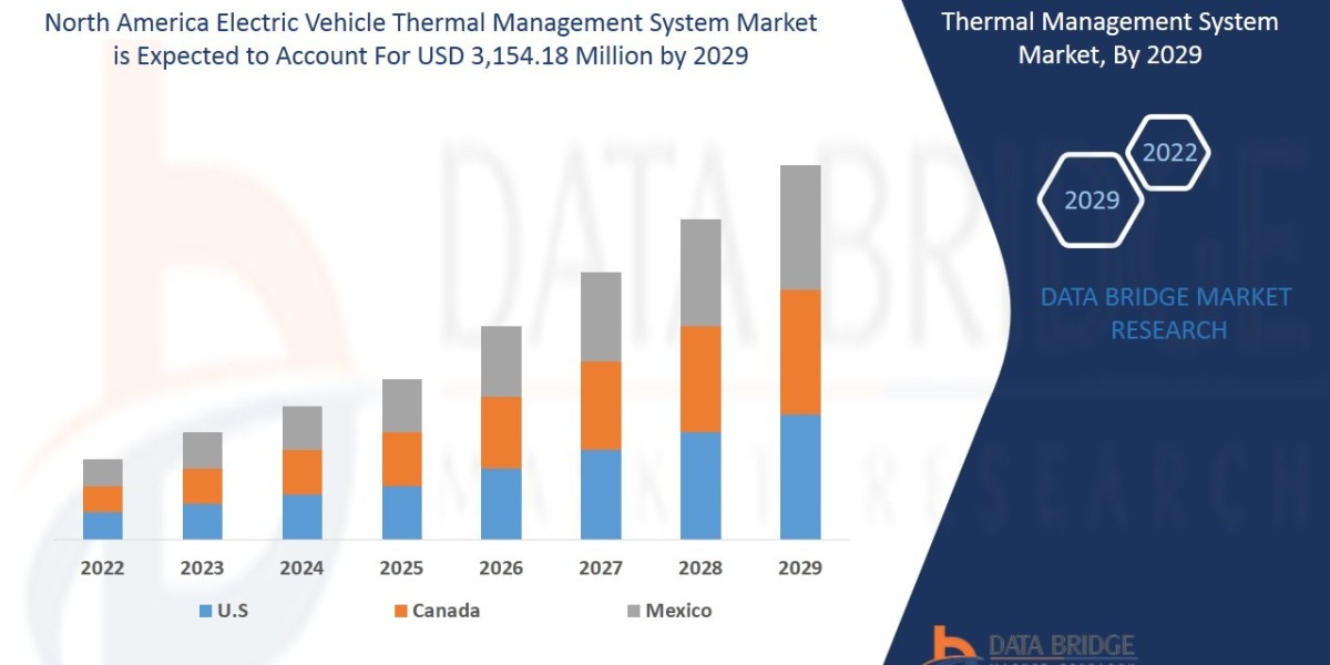 North America Electric Vehicle Thermal Management System Market Size, Industry Key Players, & Scenario By 2029