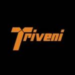 Triveni Group