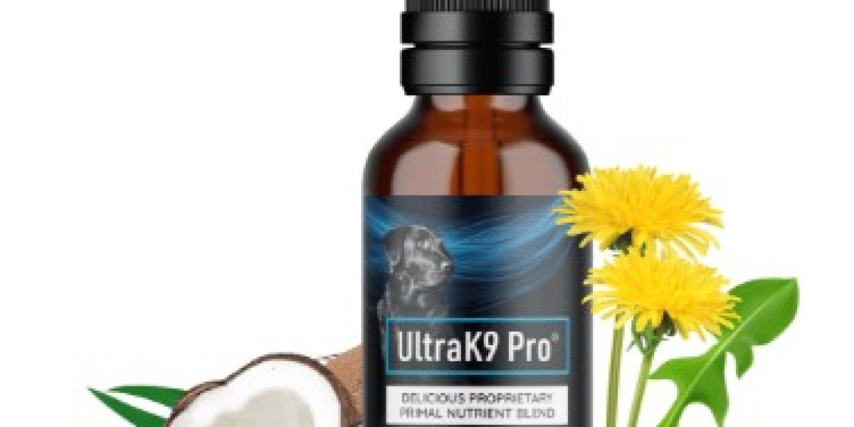 What Are The Advantages of Utilizing the Ultra K9 Pro?