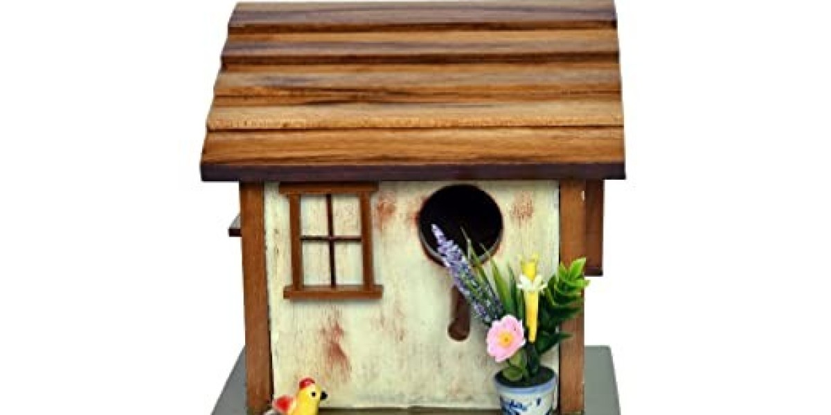 Combining Nature and Technology: The Perfect Blend in Bird House Hydroponic Kits