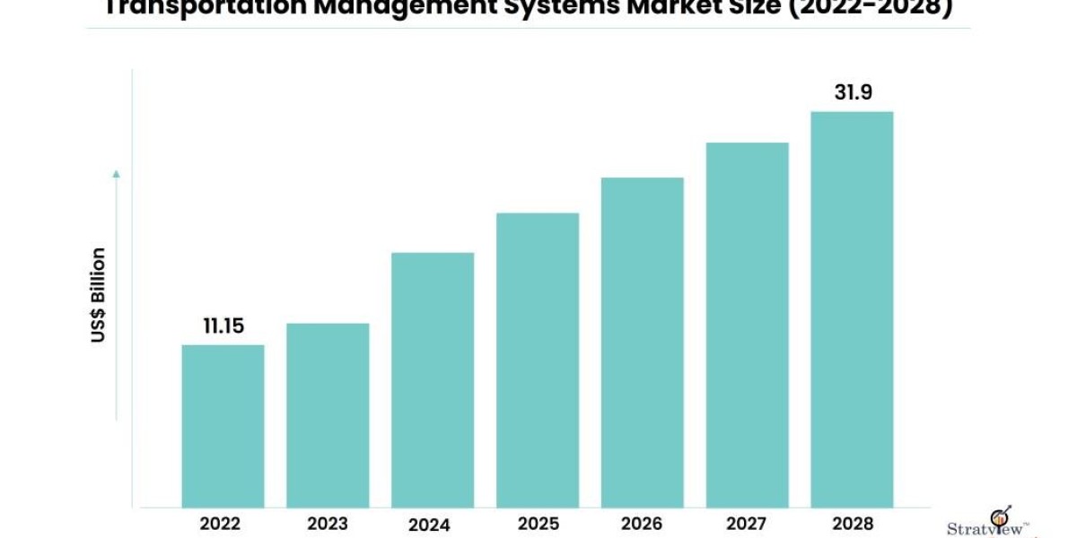 Transportation Management Systems Market Size to Expand Significantly by the End of 2028