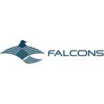 Falcon SGT