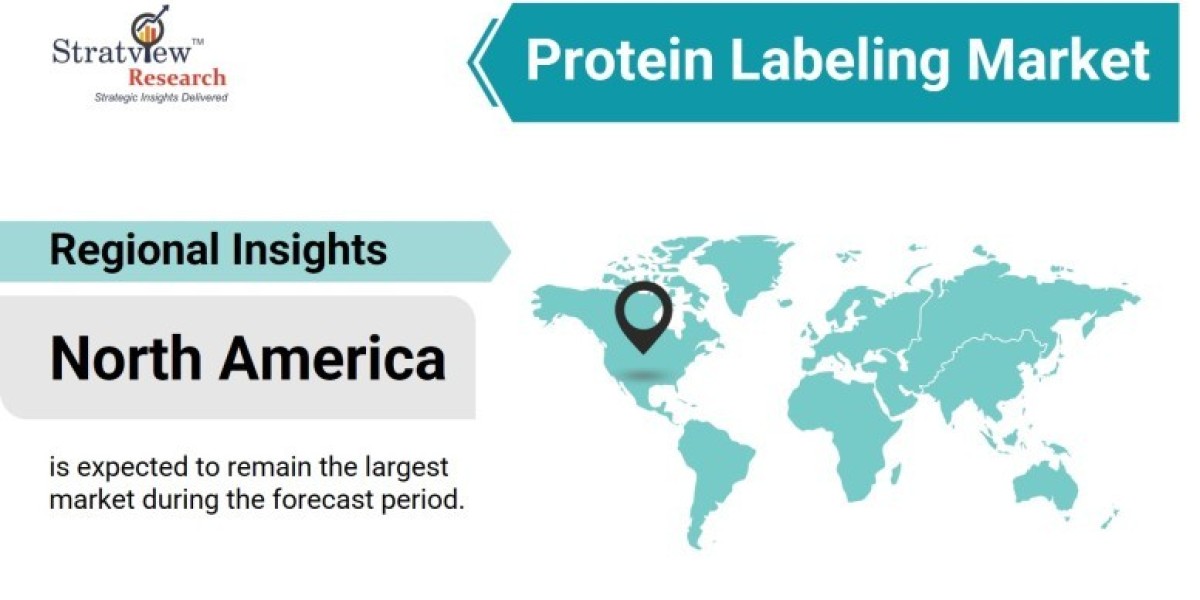 Shining a Light on Proteins: The Thriving Market of Protein Labeling