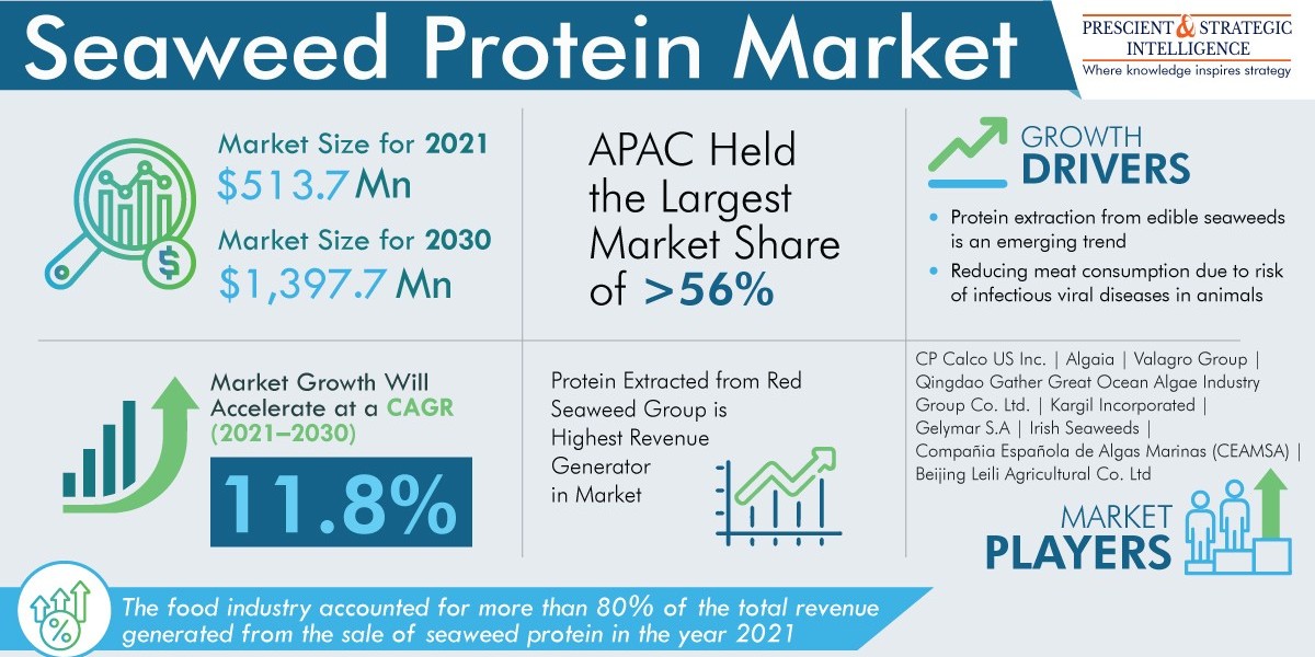 Seaweed Protein Market Share, Size, Future Demand, and Emerging Trends