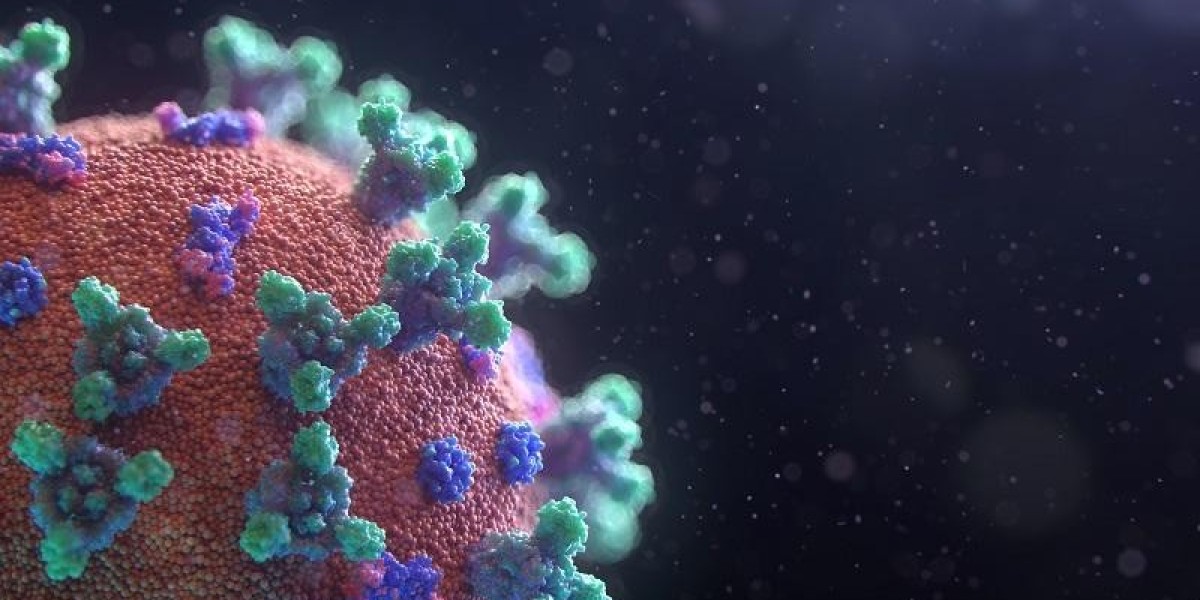 Biocatalyst Immobilization and Modification