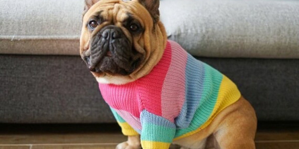 Pet Clothing Market Size, Trends, Growth Rate, Key Players, and Forecast 2023-2028
