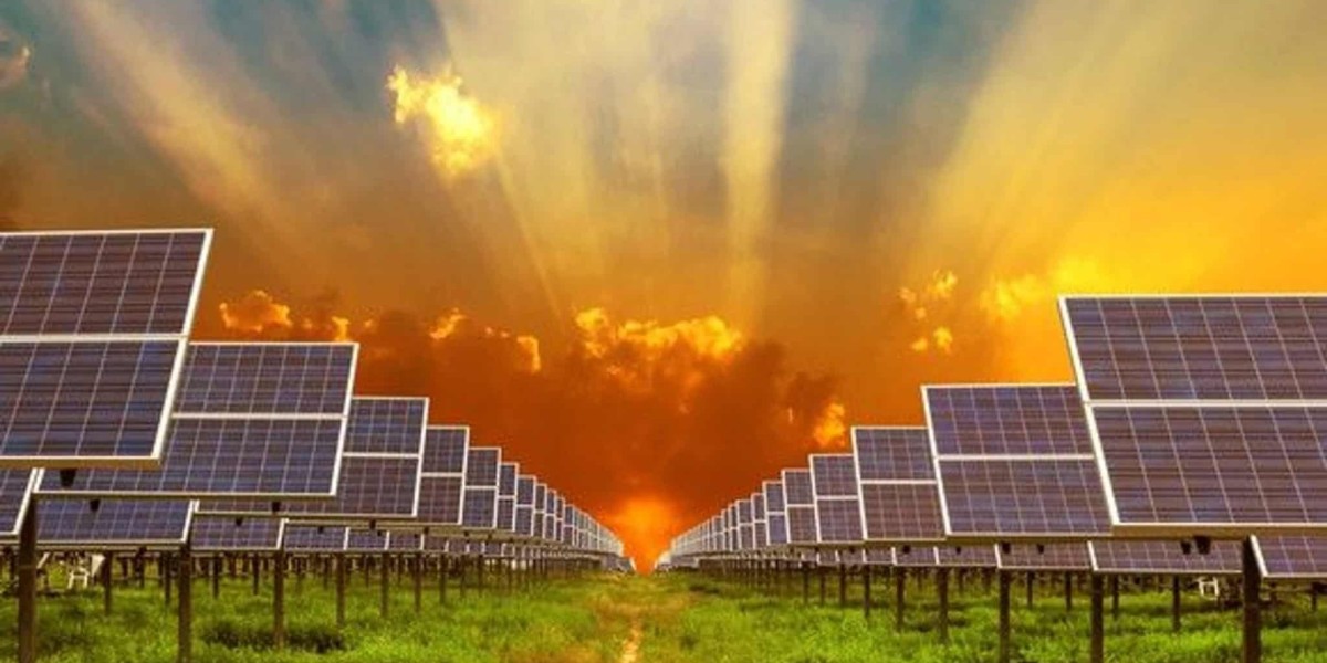 Solar Panels Are Our Future