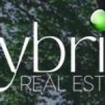 Robin Troy Hybrid Real Estate