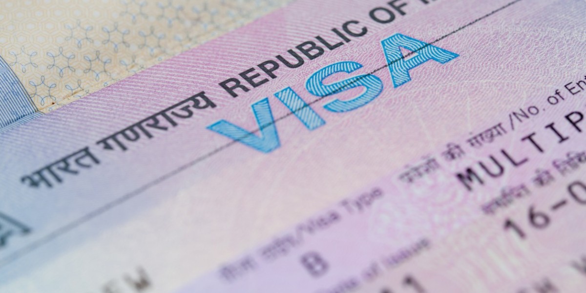 E-Visa Market: Driven by the Need for Increased Efficiency and Transparency
