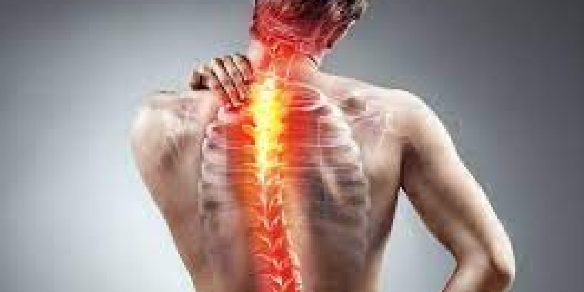  Spine Pain Doctor