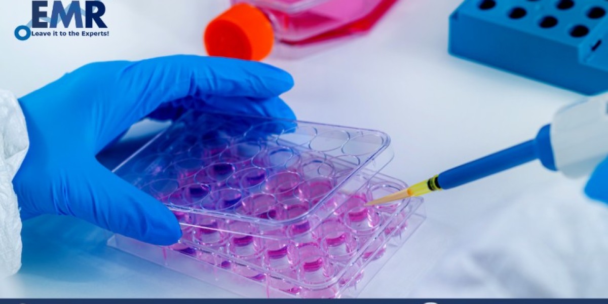 Global In Vitro Toxicology Testing Market Size, Share, Price, Trends, Growth, Report And Forecast 2023-2028