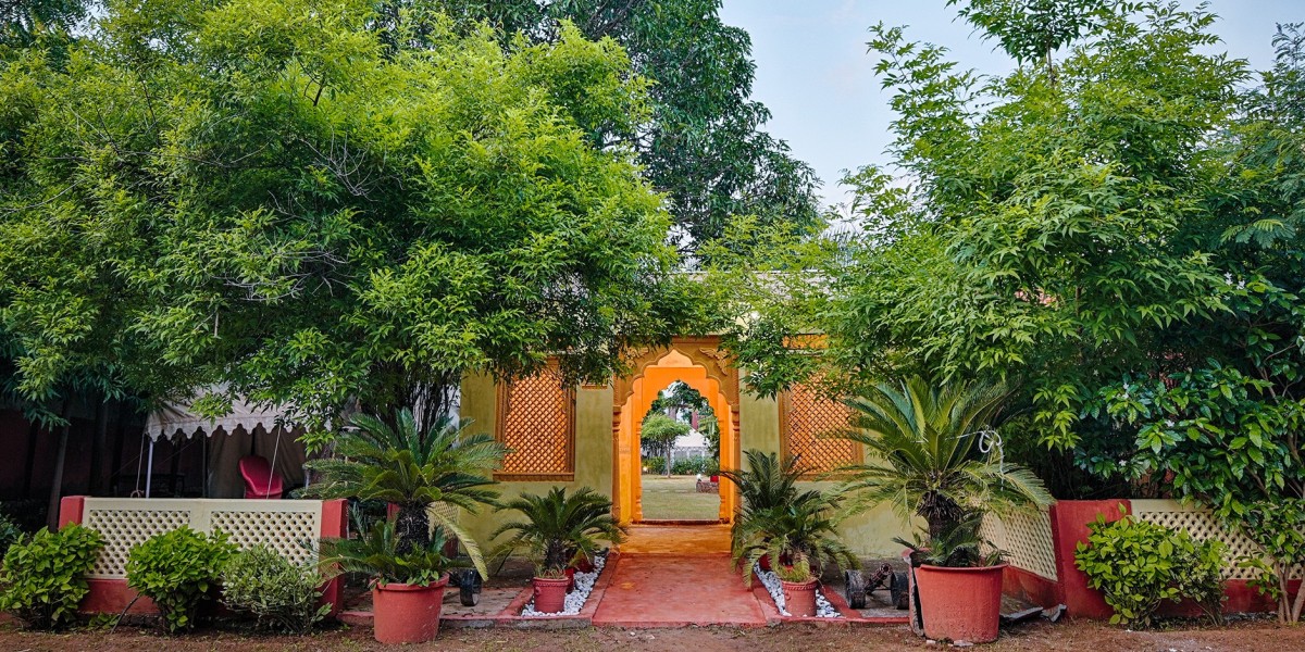 Ranthambore's Hidden Gems: Where to Stay for an Unforgettable Experience