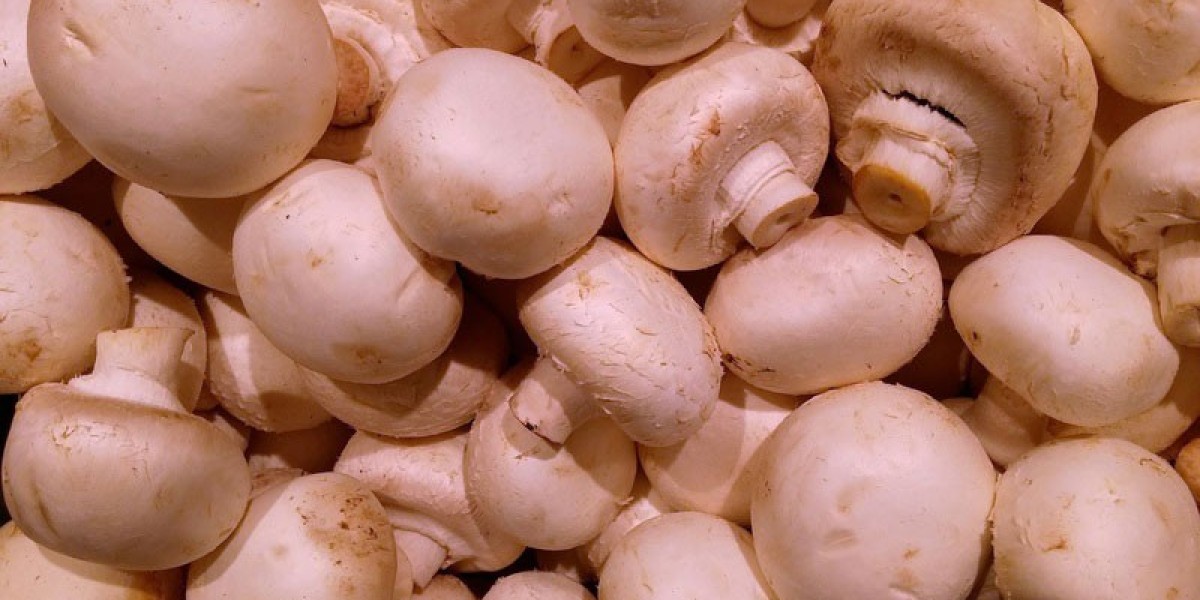 Mushroom Cultivation Market Manufacturers, Type, Application, Regions and Forecast to 2028