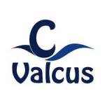 Valcus India