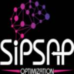 SiPSAP Optimization SAP