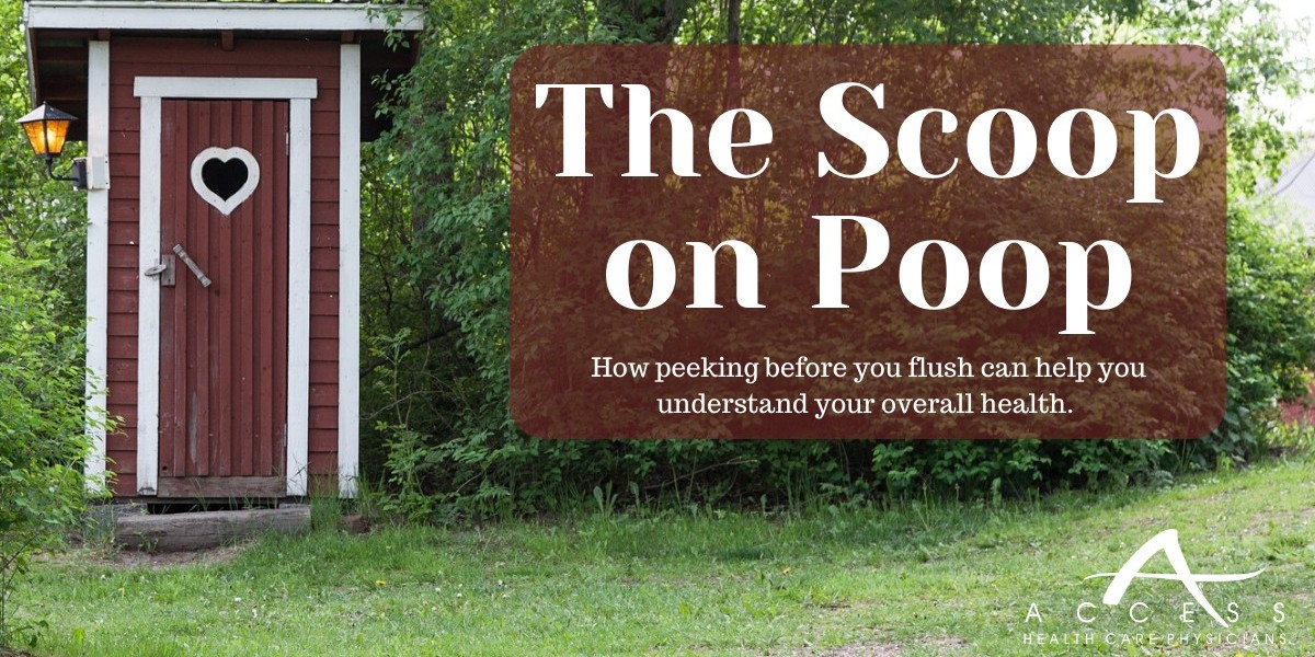 The Scoop on Poop: Understanding Its Appearance and Importance