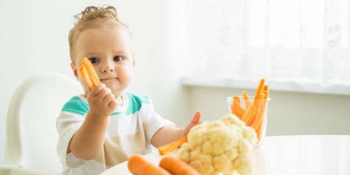 Feeding Futures: Projecting the Next Phase of Baby Food Market Growth