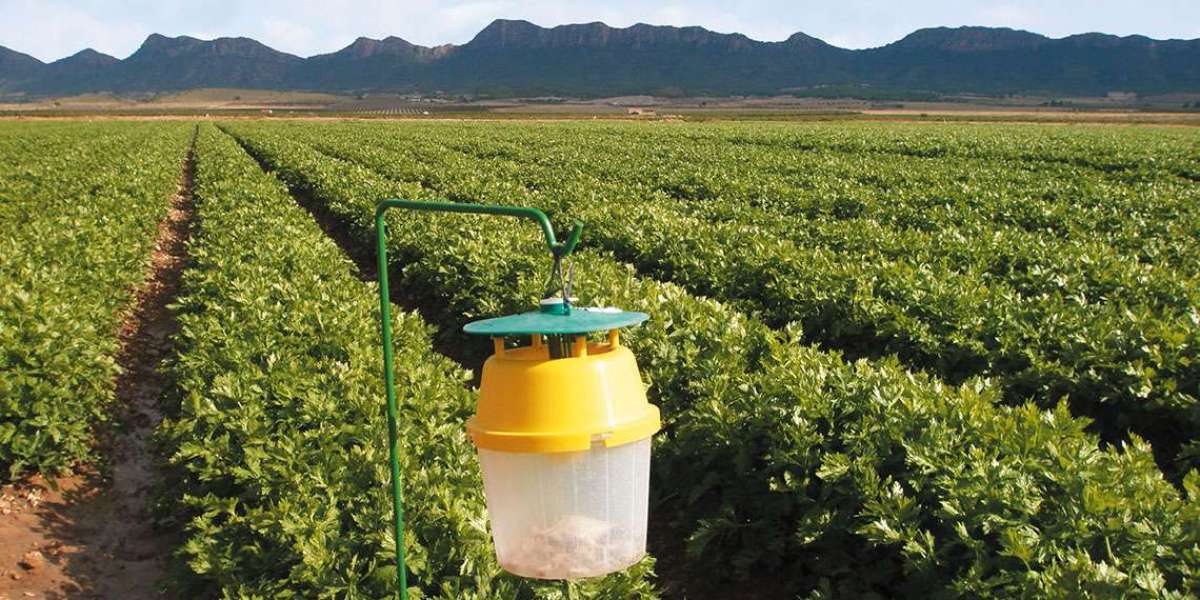 Agricultural Pheromones Market Analysis 2023- and Forecast Report2029