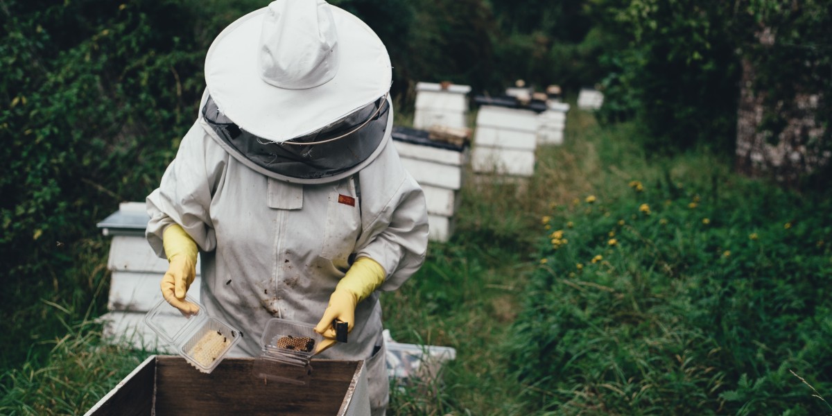 Unlocking the Benefits of CBD Honey: Nature's Golden Elixir