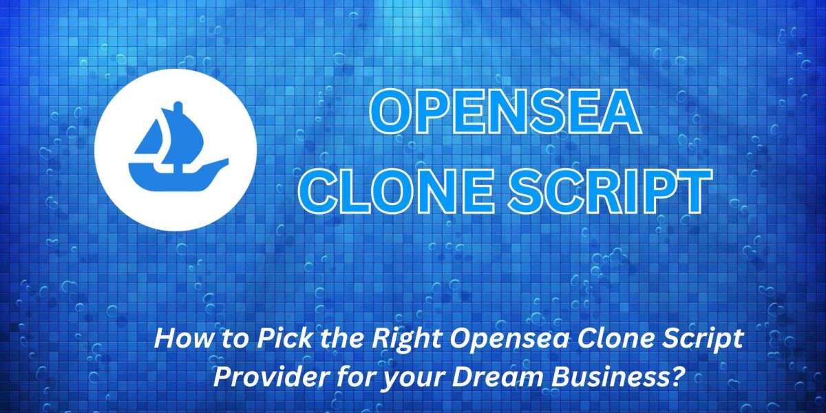 How to Pick the Right Opensea Clone Script Provider for Your Dream Business?