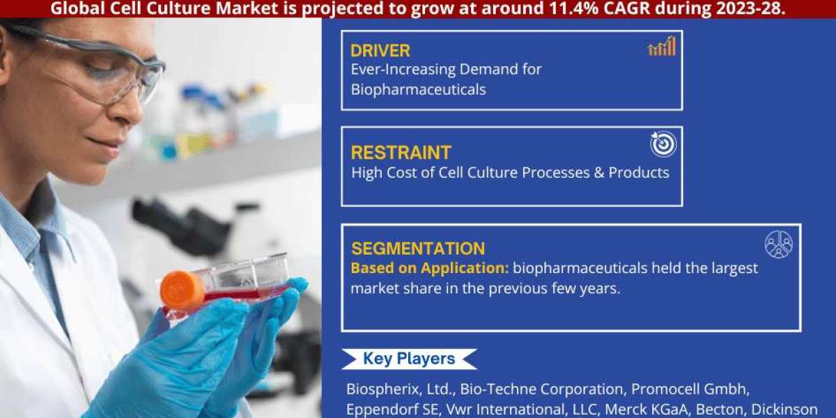 Cell Culture Market Size, Business Opportunity and Future Demand by 2028 | MarkNtel